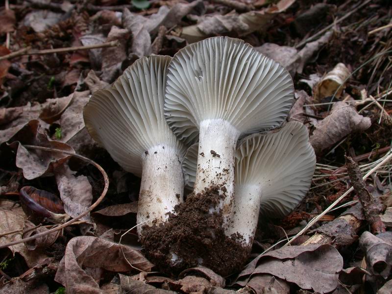 Prima escursione in montagna